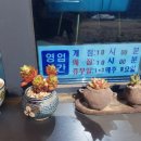 브렌따노편의점