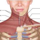 김앤박연합정형외과의원 이미지