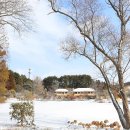 동백 - 영월군 봉래산로 7-8 | 동백