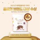 브랜드블라썸