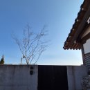 행복누리고펜션 | 대구한옥펜션 연림스테이팔공 노천탕 투룸 상세후기