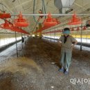 천수축산 이미지