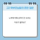 포항중앙고등학교 네이버블로그