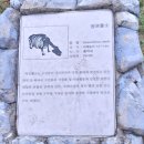 전곡-19 이미지