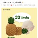 노산/미국/태교/기저귀파우치만들기/한국출산용품/네스팅/태동검사/NST/GBS/균배양검사/빨래공장/출산준비