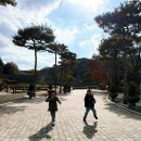 고창읍성 | 단풍이 아름답게 피어난 고창읍성 아이와 함께 가을나들이