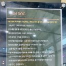 런독 이미지