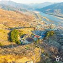 지리산오도재관광농원 | [전라남도 광양시] 홍쌍리 청매실농원 - 전 견종 가능 · 맹견 입마개 · 목줄 착용 · 배변봉투 지참