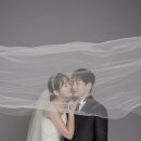 라라스컴퍼니
