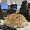 여의도쉼정신건강의학과의원 | 연축성 발성장애 치료 중간 솔직후기