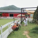 모동모동 | 경북 여행 상주 아이와 가볼만한곳 모동목장