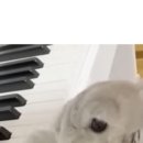 용신섬유 이미지