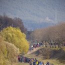 구례군체육회 이미지