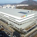 빠바라기 이미지