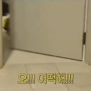 •7월 14일 (금) <b>EBS</b> 자이언트 펭TV 19:00