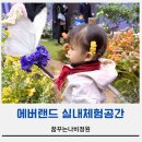 꿈의 정원 | 에버랜드 꿈꾸는나비정원 방문 후기, 위치부터 체험팁까지