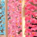 팔도강산 이미지