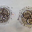 장태기드림산부인과의원 이미지