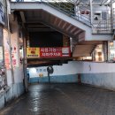 속초중앙시장(속초관광수산시장) 둘러보기_ 만석닭강정, 오징어순대, 우럭 청어숭어회, 대게 구매후기