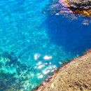 한림대학교 대학원 이미지