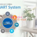 더오네뜨 이미지