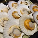 바다향기횟집 이미지