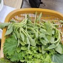 명가우렁쌈밥;생생뒷고기 | [담양]한식명장 광주 근교 맛집 '보자기' 평일 오후2시, 웨이팅 없이 즐긴 곰보배추 쌈밥
