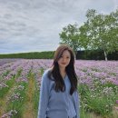 네일하고속눈썹하고 | 본오동속눈썹 투네일엠 후기 | 여름 오기 전에 속눈썹펌 추천