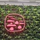 통영시선거관리위원회 이미지