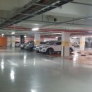 신우 희가로 이미지