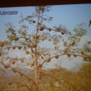 꿀벌박사 이미지