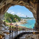 신비바이크