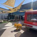 김화도서관 이미지