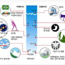 현재 일본 지진상황 + 일본유학 준비생, 유학생 대책 안내 2 - 방사능 수치 안내 이미지