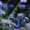 하우스콘서트 6월 이미지