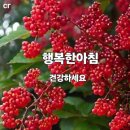 우리의 영안이 새롭게 열리기를 소망합니 이미지