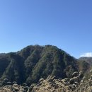 바람부리애플700 | 강릉숙소, 사과나무와 풍차뷰가 끝내주는 :: 바람부리애플 700