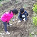 향이랑청이랑 이미지