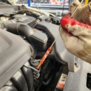 타이어프로 장유점 이미지