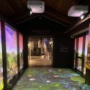 정림로 | 부여여행 백제 정림사지박물관 후기 (+ 국립부여박물관 근처)