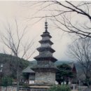 봉암동129 | 129 팔공산 송림사