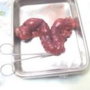 애경 동물병원 이미지