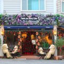 땡큐베리(Thankyou berry) 이미지