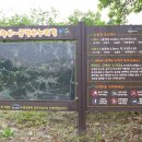 비학산 누리길 이미지