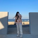 다해랑 이미지
