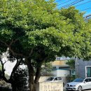 앳.코너(at.corner) 이미지