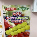 달코미아이스크림 이미지