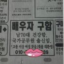 배우자 구함 이미지