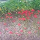 석산농장 이미지