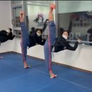 태극태권도장 이미지